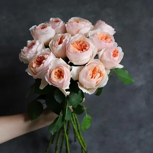 Букет персиковых пионовидных роз Дэвид Остин Джульетта 9 000 руб.