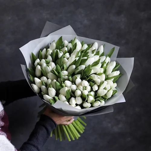 Букет из белых тюльпанов  8 400 руб.