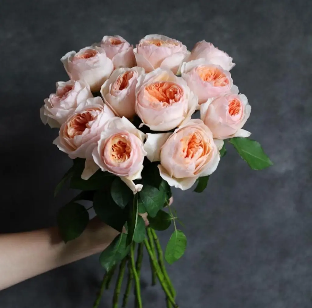 Букет персиковых пионовидных роз Дэвид Остин Джульетта4 500.00 руб.