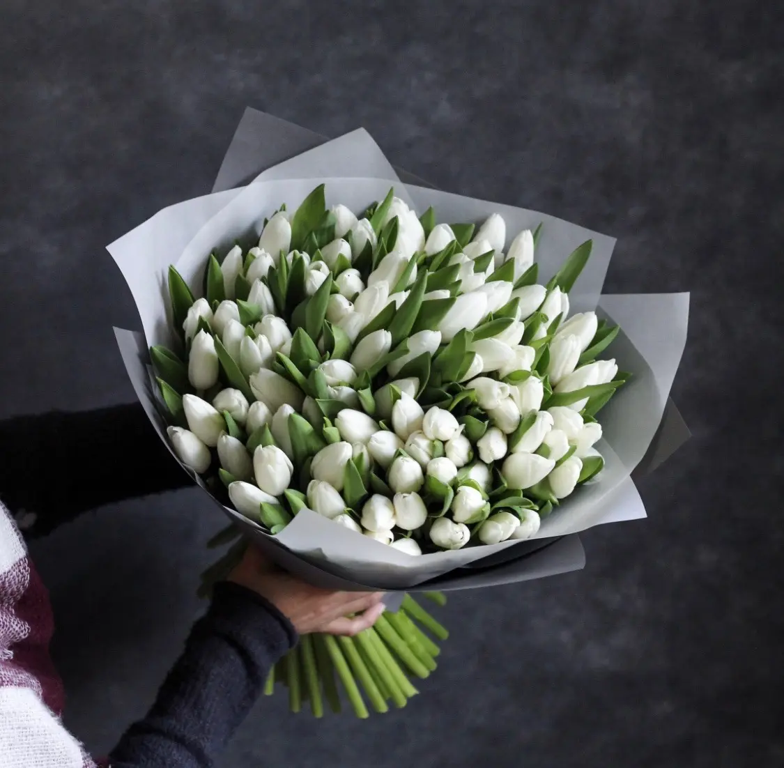 Букет из белых тюльпанов 49 штук