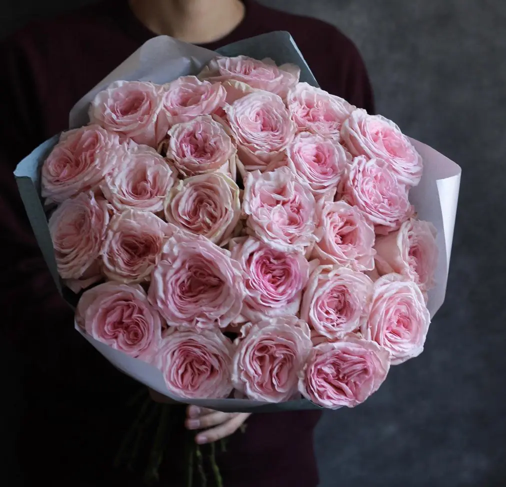 Розы  Пинк О’Хара (Pink O’Hara) 21 шт.7 500 руб.