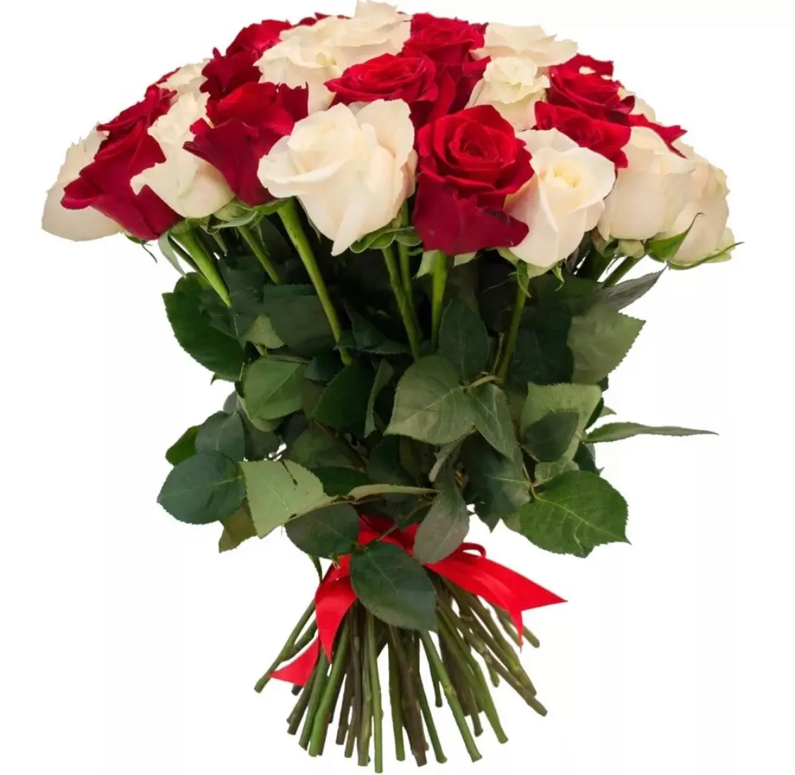 Букет из 51 красной и белой розы 5 990 руб.