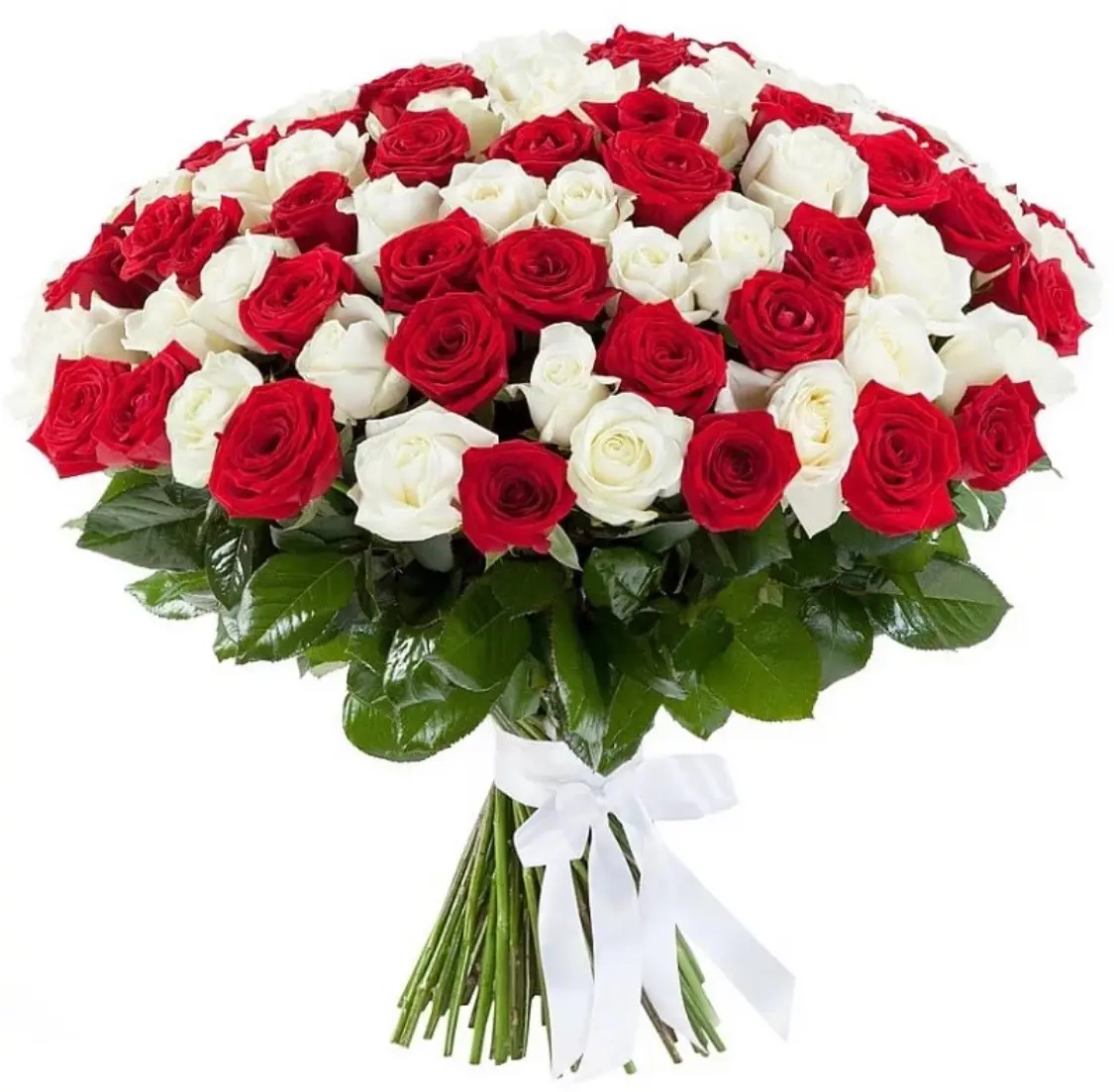 Букет из 101 красной и белой розы 9 990.00 руб.